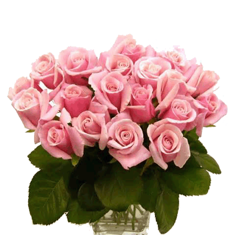 Bunch of 24 Pink Roses