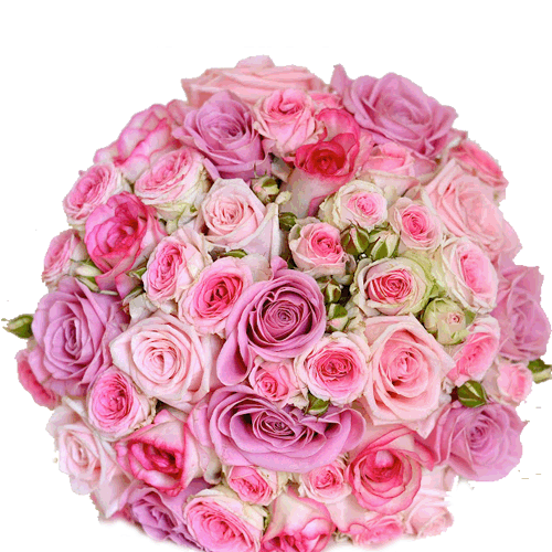 send pink roses bouquet to solapur
