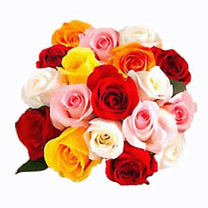 send red roses bouquet to solapur