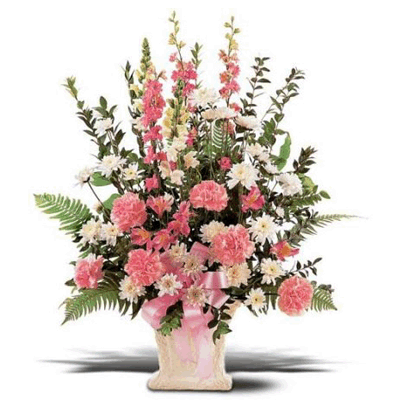 send exotic flowers to solapur