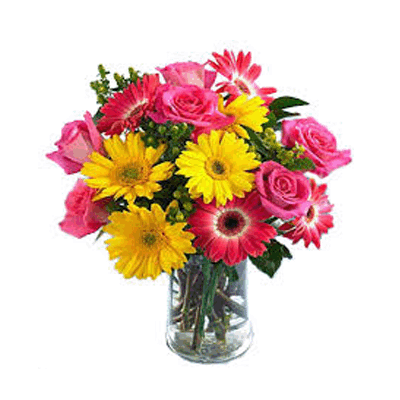  send roses online to solapur