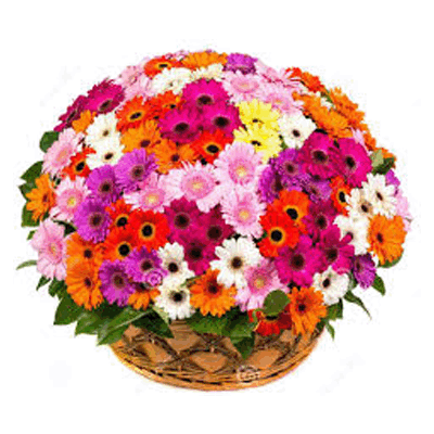 online flower basket to solapur