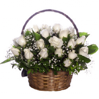bunch of white roses