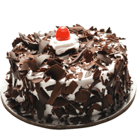Send Black Forest Cake to solapur