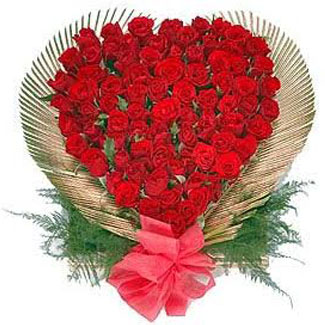 Valentine Roses delivery in mysore