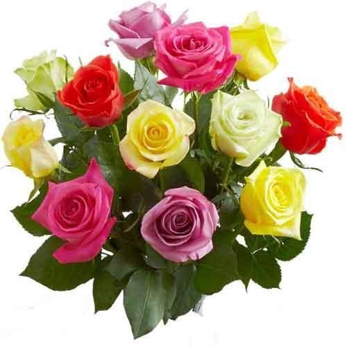 send multi color roses to solapur